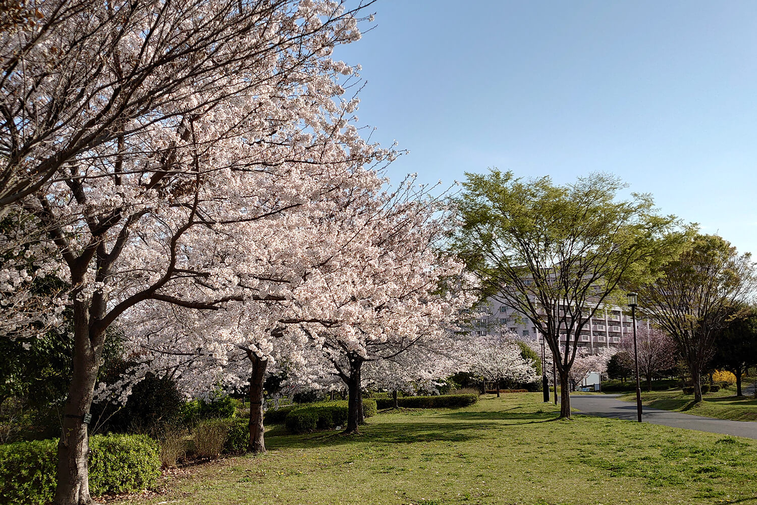 大島のパーソナルジム1